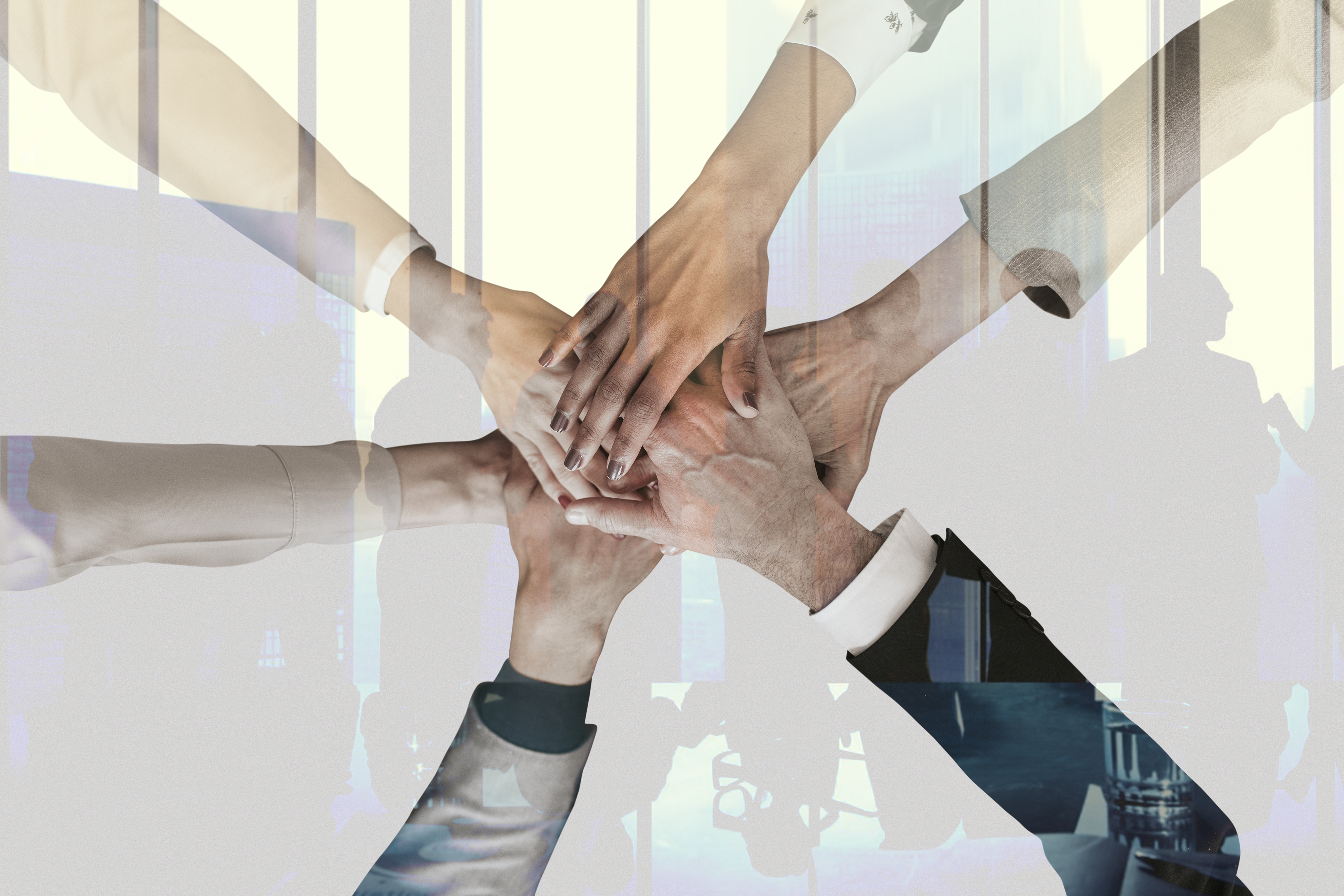 Team collaborating at work